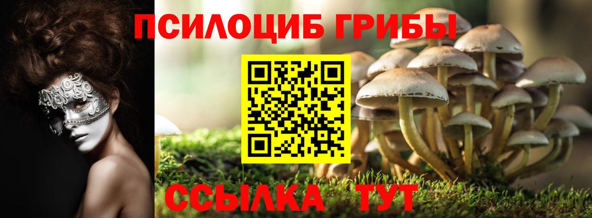 Галлюциногенные грибы MAGIC MUSHROOMS Камышин