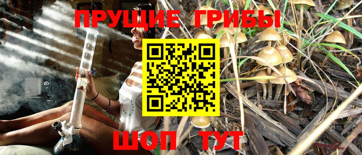 Псилоцибиновые грибы MAGIC MUSHROOMS  Галлюциногенные грибы мухоморы  Камышин  Вход с VPN 
